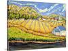 Harvest, St. Germain, Quebec-Patricia Eyre-Stretched Canvas