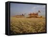 Harvest Story: Combines Harvest Wheat at Ranch in Texas-Ralph Crane-Framed Stretched Canvas