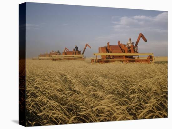 Harvest Story: Combines Harvest Wheat at Ranch in Texas-Ralph Crane-Stretched Canvas