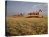 Harvest Story: Combines Harvest Wheat at Ranch in Texas-Ralph Crane-Stretched Canvas