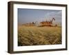 Harvest Story: Combines Harvest Wheat at Ranch in Texas-Ralph Crane-Framed Premium Photographic Print