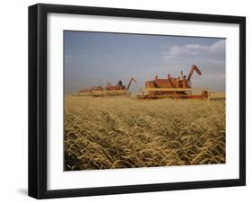 Harvest Story: Combines Harvest Wheat at Ranch in Texas-Ralph Crane-Framed Photographic Print