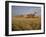 Harvest Story: Combines Harvest Wheat at Ranch in Texas-Ralph Crane-Framed Photographic Print