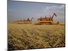 Harvest Story: Combines Harvest Wheat at Ranch in Texas-Ralph Crane-Mounted Photographic Print