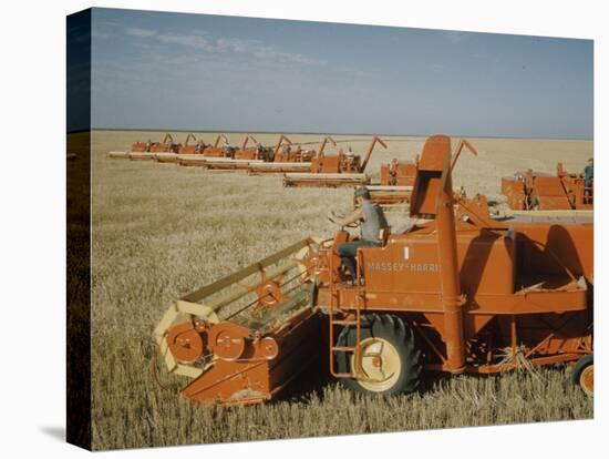 Harvest Story: Combines Harvest Wheat at Ranch in Texas-Ralph Crane-Stretched Canvas