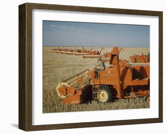 Harvest Story: Combines Harvest Wheat at Ranch in Texas-Ralph Crane-Framed Photographic Print