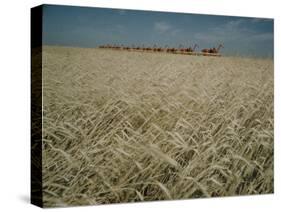 Harvest Story: Combines Harvest Wheat at Ranch in Texas-Ralph Crane-Stretched Canvas