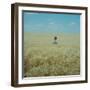 Harvest Story: Farmer Stands Chest Deep in Wheat, Texas-Ralph Crane-Framed Photographic Print