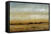 Harvest Sunset I-Tim OToole-Framed Stretched Canvas