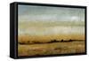 Harvest Sunset I-Tim OToole-Framed Stretched Canvas