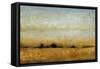 Harvest Sunset II-Tim OToole-Framed Stretched Canvas