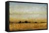 Harvest Sunset II-Tim OToole-Framed Stretched Canvas