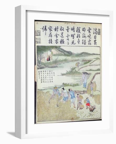 Harvest, the Rice Culture in China-null-Framed Giclee Print