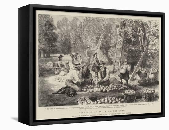 Harvest-Time in an Orange-Grove-Godefroy Durand-Framed Stretched Canvas