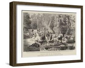 Harvest-Time in an Orange-Grove-Godefroy Durand-Framed Giclee Print