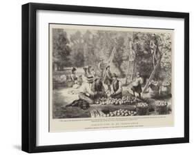 Harvest-Time in an Orange-Grove-Godefroy Durand-Framed Giclee Print