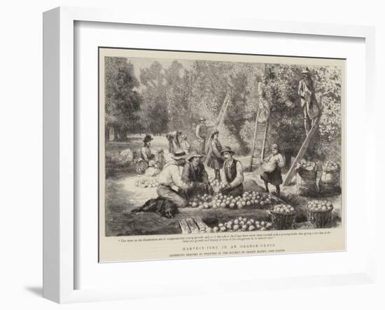 Harvest-Time in an Orange-Grove-Godefroy Durand-Framed Giclee Print
