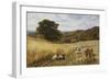 Harvest Time Near Holmbury Hill, Surrey, 1865-George Vicat Cole-Framed Giclee Print