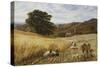 Harvest Time Near Holmbury Hill, Surrey, 1865-George Vicat Cole-Stretched Canvas