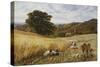 Harvest Time Near Holmbury Hill, Surrey-George Vicat Cole-Stretched Canvas