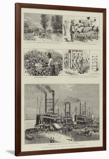 Harvest-Time on an American Cotton Plantation-null-Framed Giclee Print