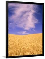 Harvest Time Wheat Crop, Palouse, Washington, USA-Terry Eggers-Framed Photographic Print