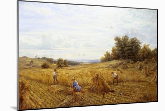 Harvest Time-Alfred Augustus Glendening II-Mounted Giclee Print