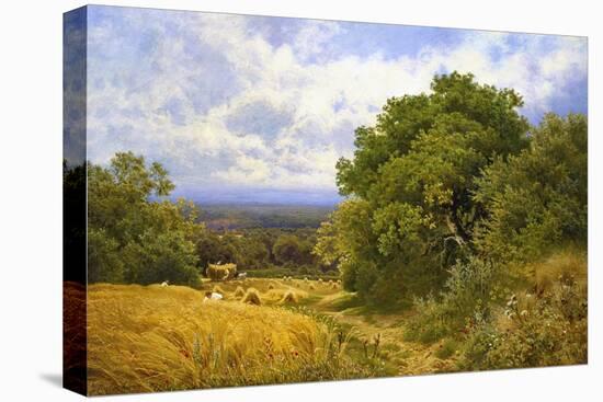Harvest Time-John Clayton Adams-Stretched Canvas