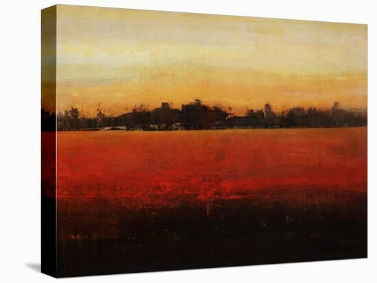 Harvest Time-Tim O'toole-Stretched Canvas
