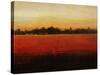 Harvest Time-Tim O'toole-Stretched Canvas