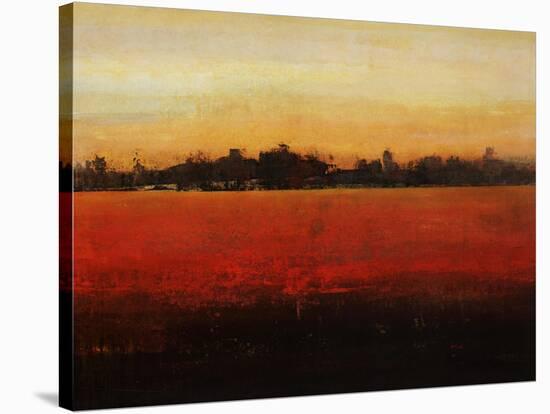 Harvest Time-Tim O'toole-Stretched Canvas
