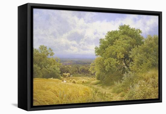 Harvest Time-Clayton Adams-Framed Stretched Canvas