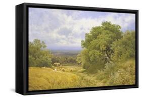 Harvest Time-Clayton Adams-Framed Stretched Canvas