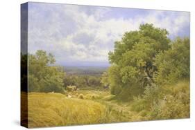 Harvest Time-Clayton Adams-Stretched Canvas