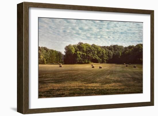 Harvest Time-Jai Johnson-Framed Giclee Print