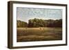 Harvest Time-Jai Johnson-Framed Giclee Print