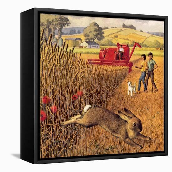 Harvest Time-Ronald Lampitt-Framed Stretched Canvas