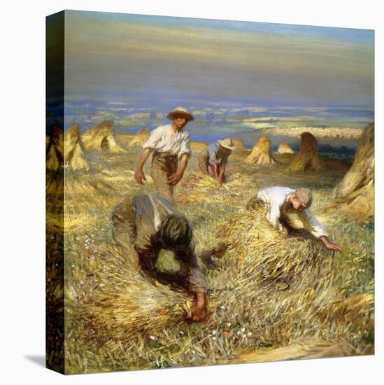 Harvest, Tying the Sheaves, 1902 (Oil on Canvas)-George Clausen-Stretched Canvas
