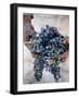 Harvest Worker Holding Malbec Wine Grapes, Mendoza, Argentina, South America-Yadid Levy-Framed Photographic Print