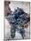 Harvest Worker Holding Malbec Wine Grapes, Mendoza, Argentina, South America-Yadid Levy-Mounted Photographic Print