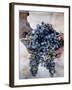 Harvest Worker Holding Malbec Wine Grapes, Mendoza, Argentina, South America-Yadid Levy-Framed Photographic Print