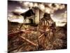 Harvest-Stephen Arens-Mounted Photographic Print