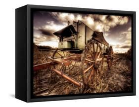 Harvest-Stephen Arens-Framed Stretched Canvas