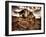 Harvest-Stephen Arens-Framed Photographic Print