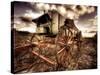 Harvest-Stephen Arens-Stretched Canvas