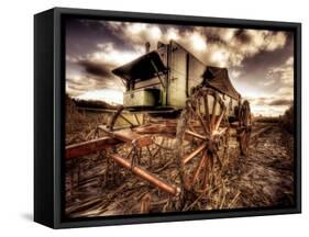 Harvest-Stephen Arens-Framed Stretched Canvas