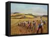 Harvest-Margaret Loxton-Framed Stretched Canvas