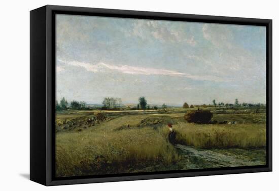 Harvest-Charles-Francois Daubigny-Framed Stretched Canvas