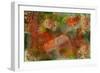 Harvest-Mindy Sommers-Framed Giclee Print