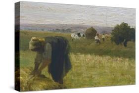 Harvest-Federico Rossano-Stretched Canvas